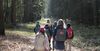 Wandergruppe mit Kindern im Wald